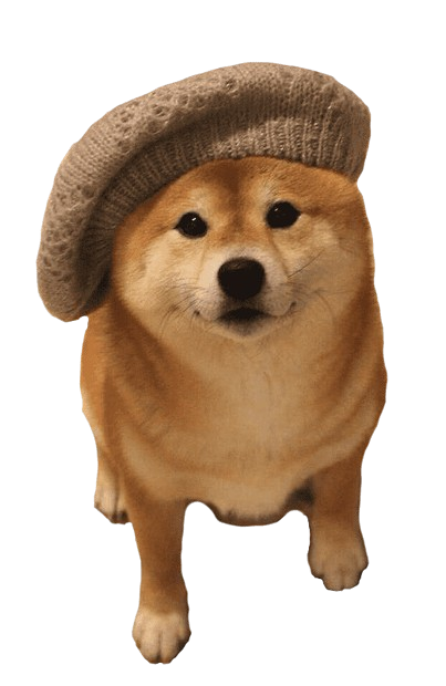 doge saying bounjour